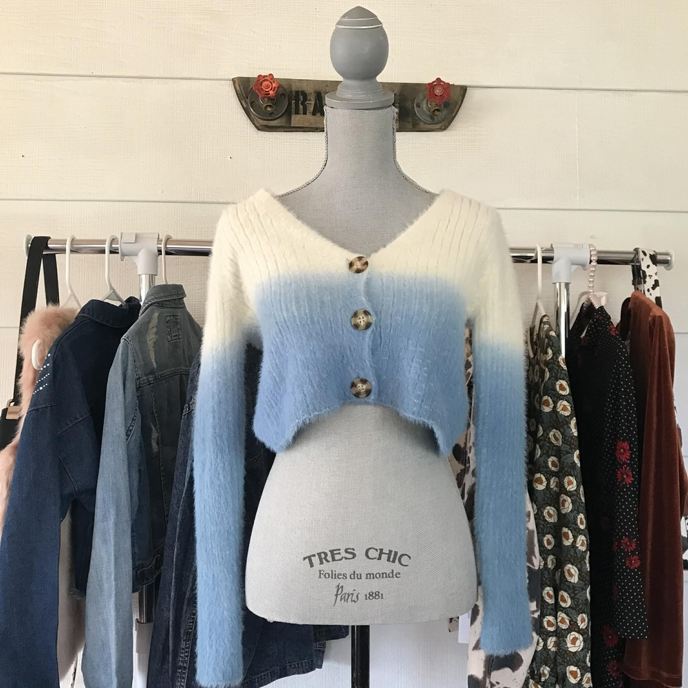 Urban Outfitters Blue and White Ombre Long Sleeve Crop Top